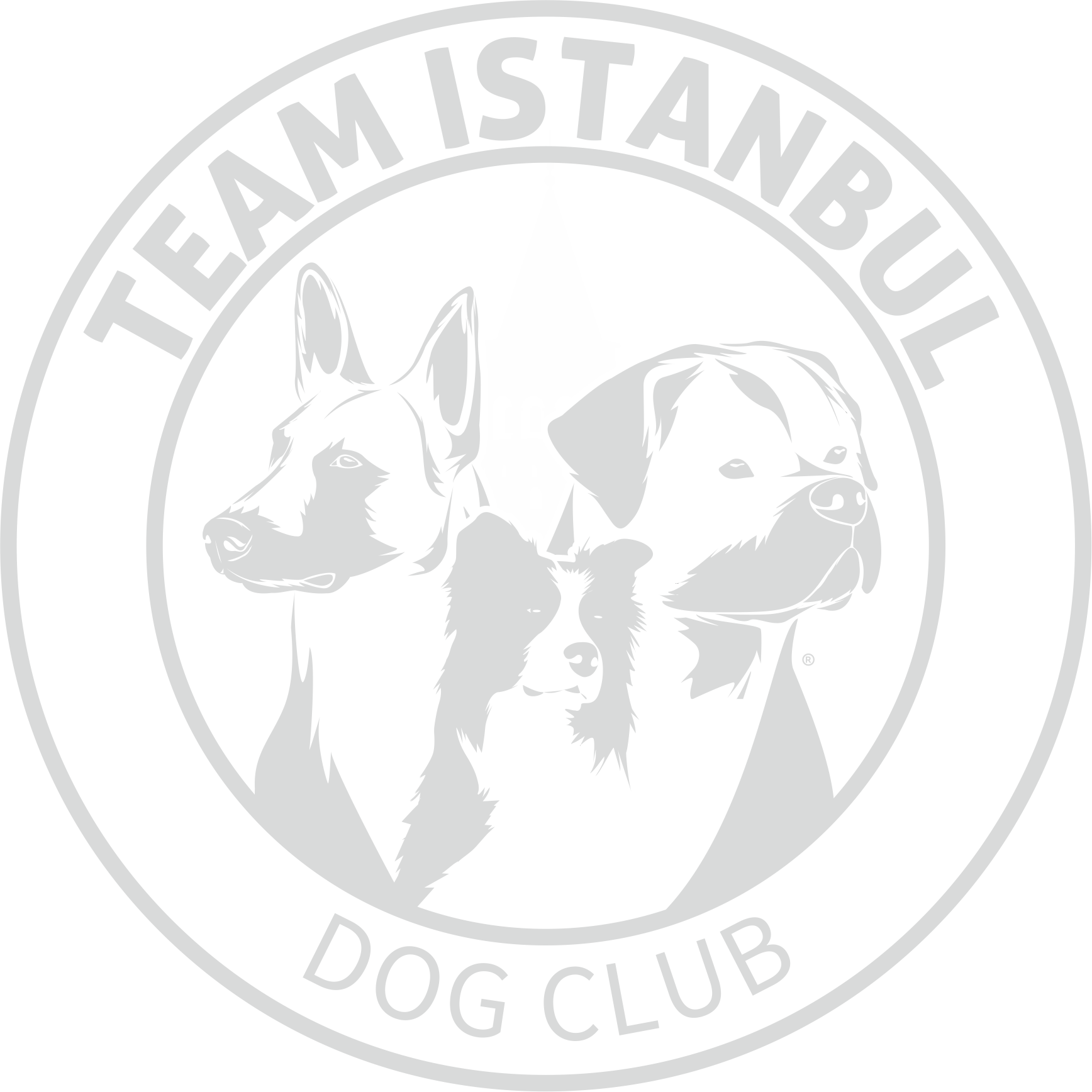 Achilles Team Istanbul