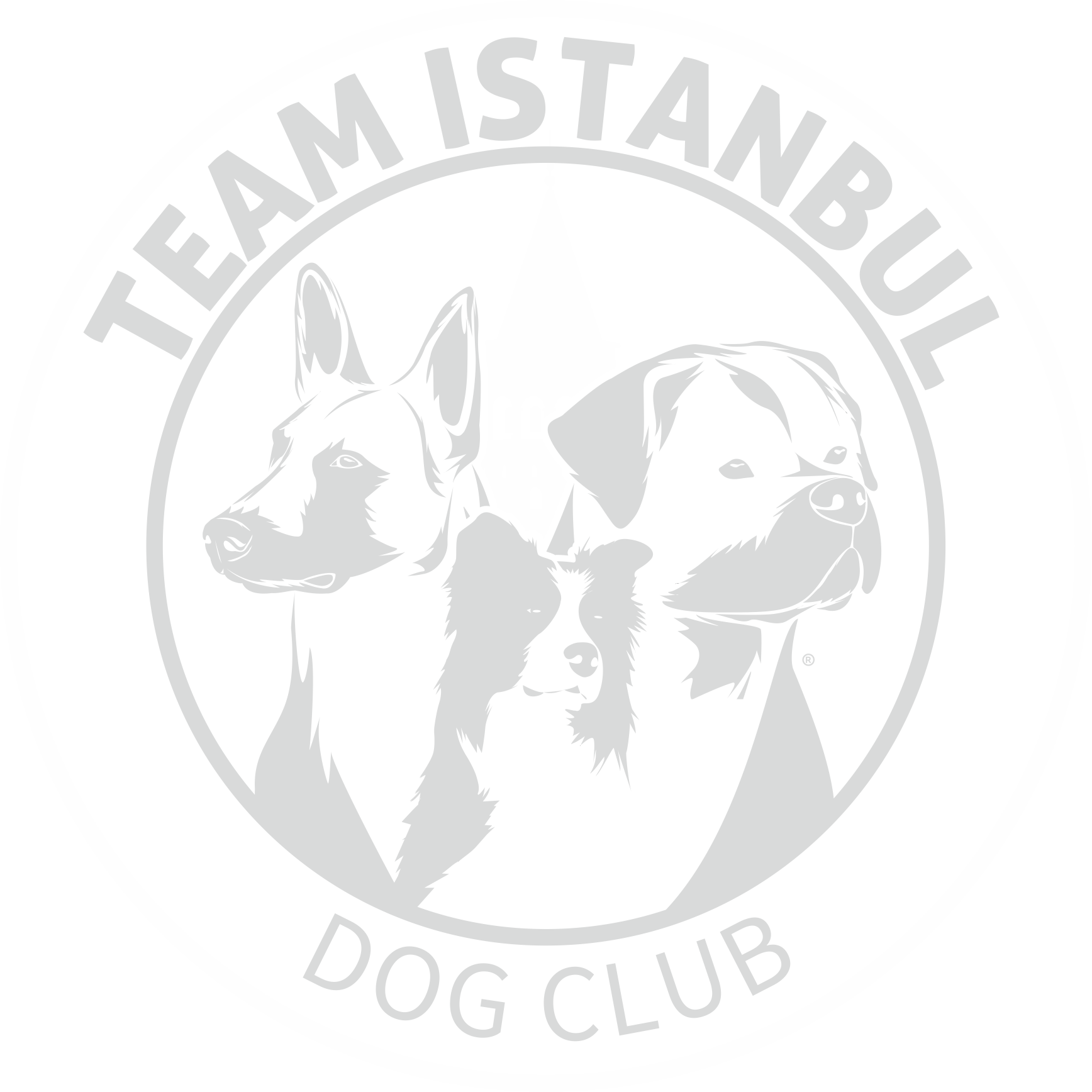 Team Istanbul Dog Club - Candostum Dog Breeding Farm