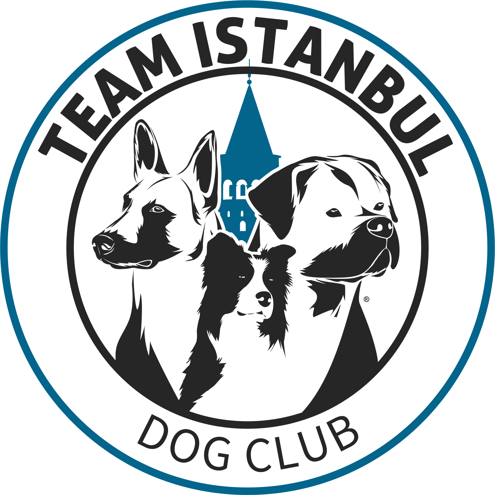 /images/ftn/team-istanbul---candostum-kopek-uretim-ciftligi.png